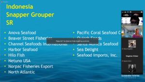 Read more about the article A Virtual Meeting between the Indonesian Demersal Association and Indonesia Snappers Groupers Supply Chain Roundtable
